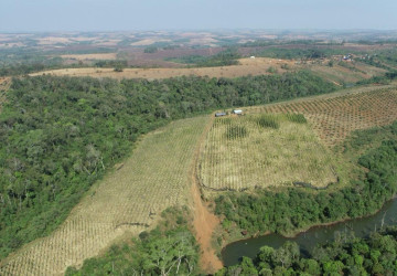 60 Ha Agricultural Land For Sale - Ou Reang District, Mondulkiri Province thumbnail