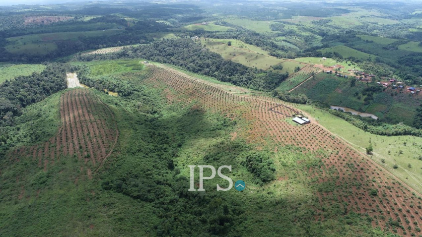 60 Ha Agricultural Land For Sale - Ou Reang District, Mondulkiri Province