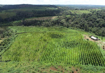 60 Ha Agricultural Land For Sale - Ou Reang District, Mondulkiri Province thumbnail