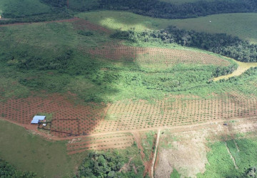 60 Ha Agricultural Land For Sale - Ou Reang District, Mondulkiri Province thumbnail