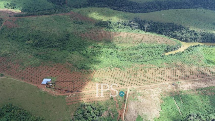 60 Ha Agricultural Land For Sale - Ou Reang District, Mondulkiri Province