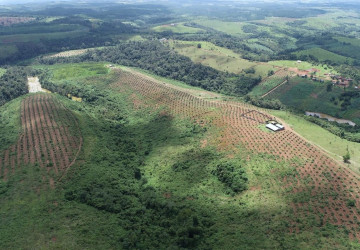 60 Ha Agricultural Land For Sale - Ou Reang District, Mondulkiri Province thumbnail