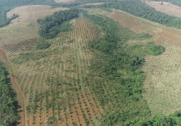 60 Ha Agricultural Land For Sale - Ou Reang District, Mondulkiri Province thumbnail