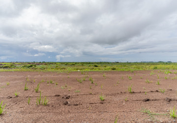 10,000 SQM Land For Sale - Kandal Steng, Kandal Province thumbnail
