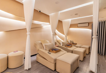 2 Bedroom Serviced Apartment For Rent - Srah Chak, Phnom Penh thumbnail