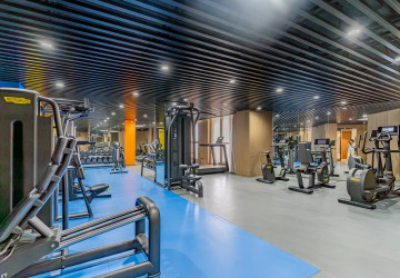 Duplex 3 Bedroom Serviced Penthouse For Rent - Srah Chak, Phnom Penh thumbnail