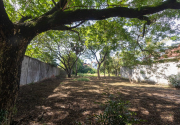 3,120 Sqm Commercial Land For Sale - Slor Kram, Siem Reap thumbnail