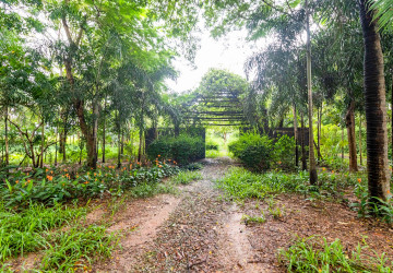 8 Hectare Land For Sale - Sasar Sdam, Puok, Siem Reap thumbnail