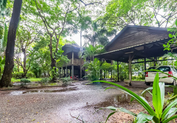 8 Hectare Land For Sale - Sasar Sdam, Puok, Siem Reap thumbnail