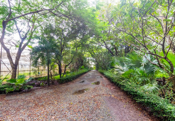 8 Hectare Land For Sale - Sasar Sdam, Puok, Siem Reap thumbnail