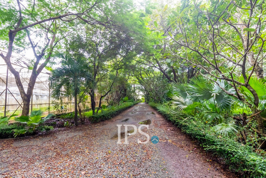8 Hectare Land For Sale - Sasar Sdam, Puok, Siem Reap