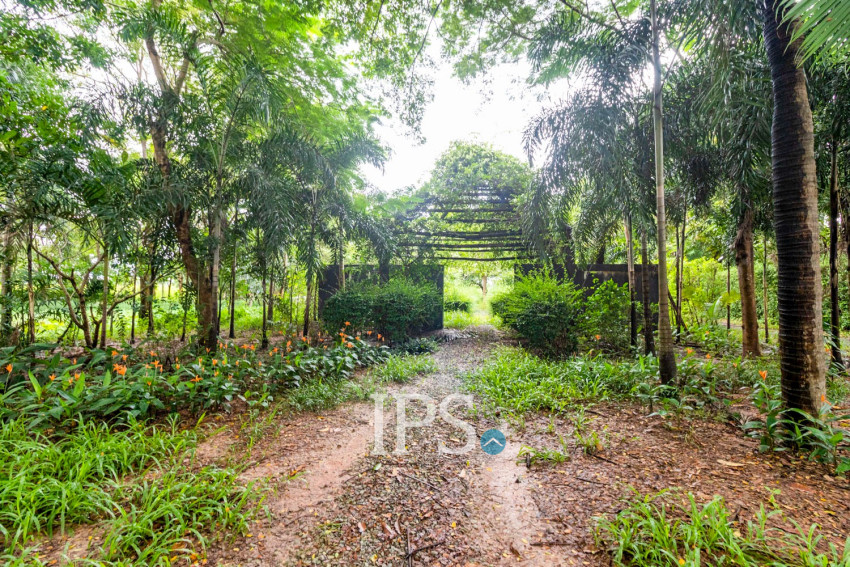 8 Hectare Land For Sale - Sasar Sdam, Puok, Siem Reap