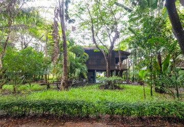 8 Hectare Land For Sale - Sasar Sdam, Puok, Siem Reap thumbnail