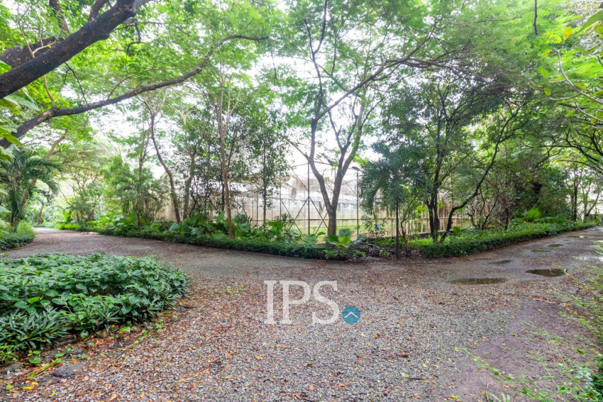 8 Hectare Land For Sale - Sasar Sdam, Puok, Siem Reap