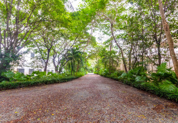 8 Hectare Land For Sale - Sasar Sdam, Puok, Siem Reap thumbnail