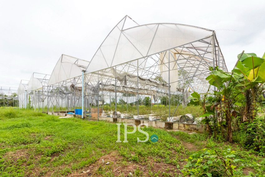 8 Hectare Land For Sale - Sasar Sdam, Puok, Siem Reap