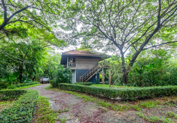 8 Hectare Land For Sale - Sasar Sdam, Puok, Siem Reap thumbnail