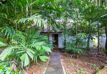 8 Hectare Land For Sale - Sasar Sdam, Puok, Siem Reap thumbnail