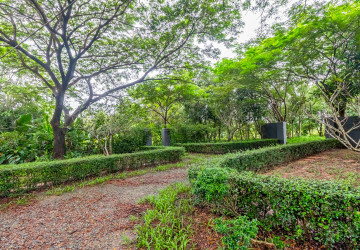 8 Hectare Land For Sale - Sasar Sdam, Puok, Siem Reap thumbnail