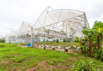 8 Hectare Land For Sale - Sasar Sdam, Puok, Siem Reap thumbnail