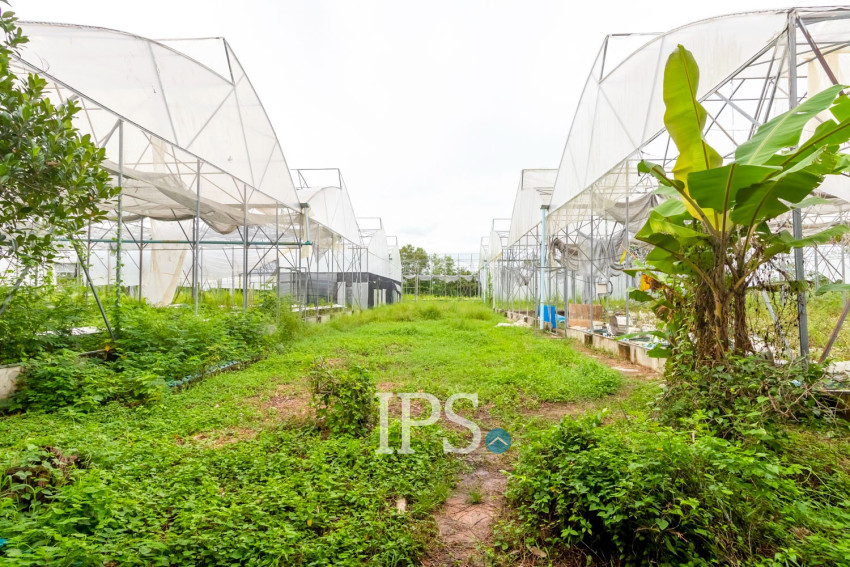 8 Hectare Land For Sale - Sasar Sdam, Puok, Siem Reap