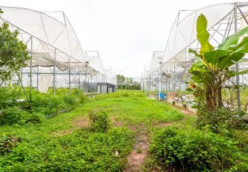 8 Hectare Land For Sale - Sasar Sdam, Puok, Siem Reap thumbnail