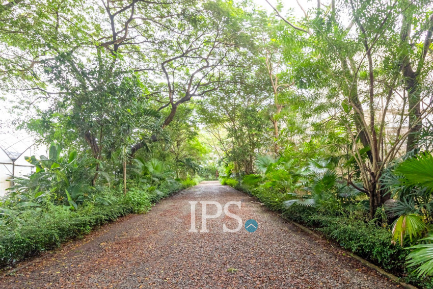 8 Hectare Land For Sale - Sasar Sdam, Puok, Siem Reap