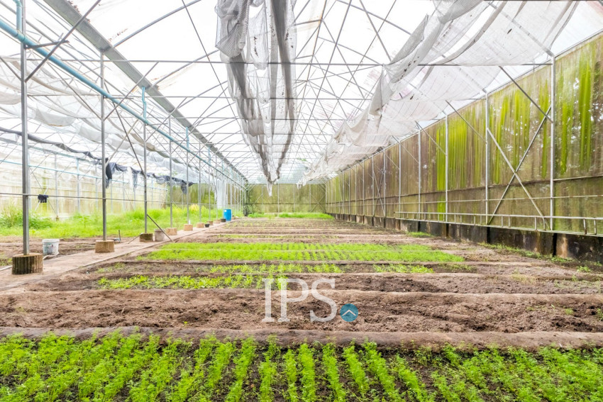 8 Hectare Land For Sale - Sasar Sdam, Puok, Siem Reap