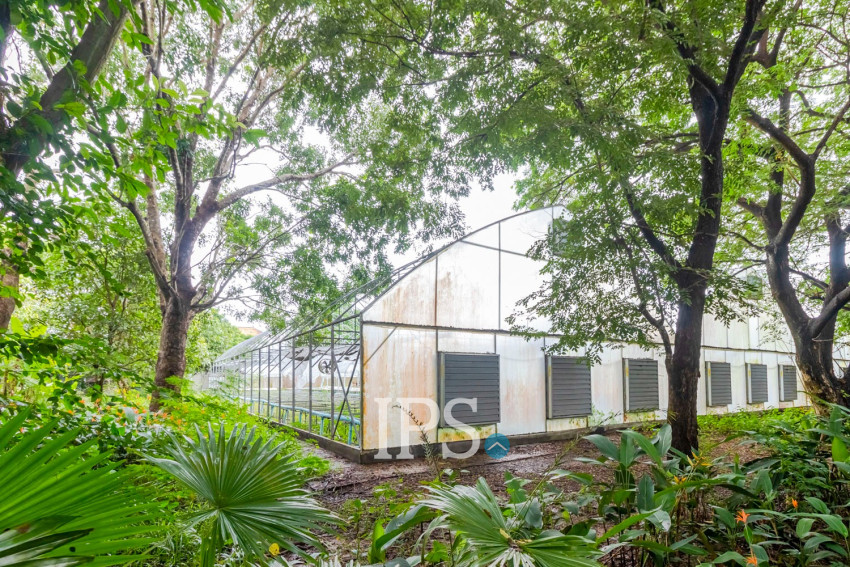 8 Hectare Land For Sale - Sasar Sdam, Puok, Siem Reap