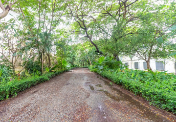 8 Hectare Land For Sale - Sasar Sdam, Puok, Siem Reap thumbnail