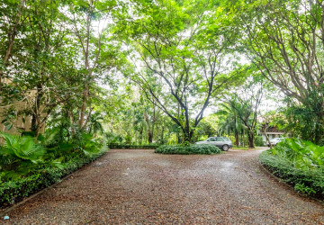 8 Hectare Land For Sale - Sasar Sdam, Puok, Siem Reap thumbnail