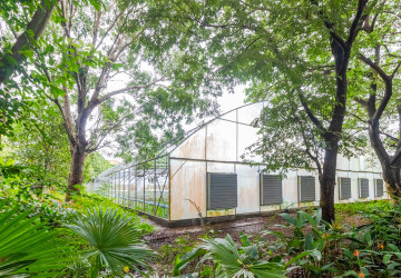 8 Hectare Land For Sale - Sasar Sdam, Puok, Siem Reap thumbnail