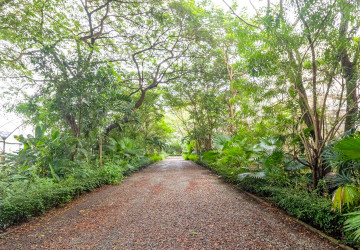 8 Hectare Land For Sale - Sasar Sdam, Puok, Siem Reap thumbnail