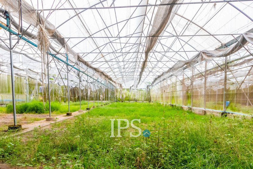 8 Hectare Land For Sale - Sasar Sdam, Puok, Siem Reap