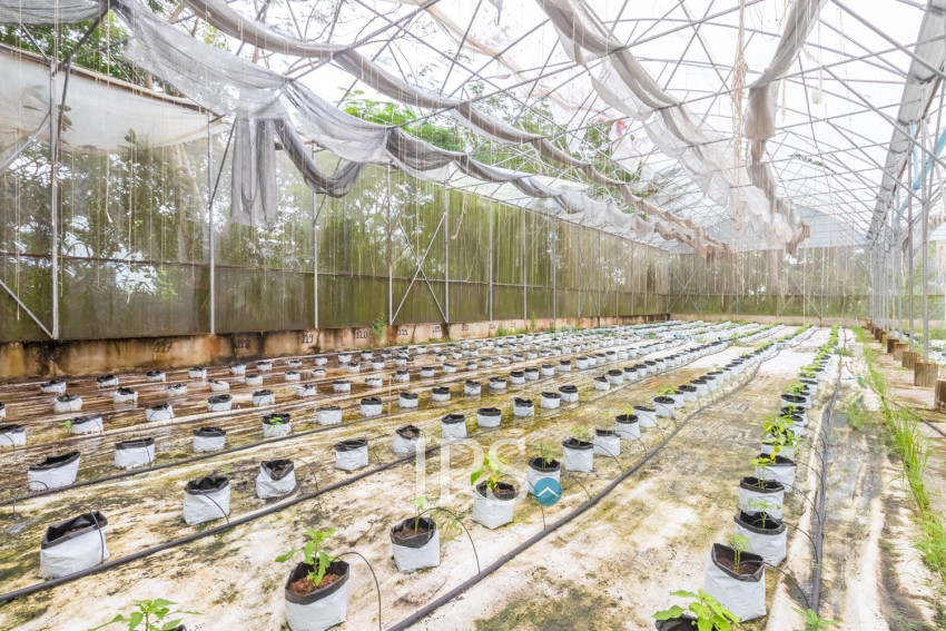 8 Hectare Land For Sale - Sasar Sdam, Puok, Siem Reap