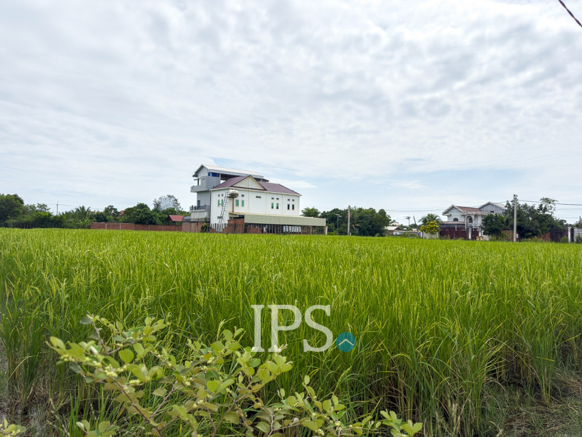 3,694 Sqm Land For Sale - Chreav, Siem Reap