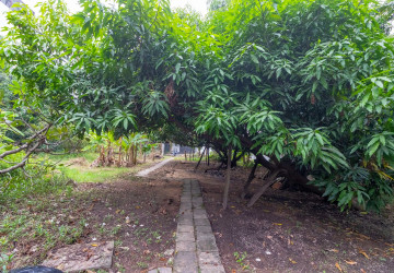 3,500 Sqm Commercial Land For Rent - Sala Kamreuk, Siem Reap thumbnail