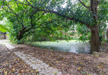 3,500 Sqm Commercial Land For Rent - Sala Kamreuk, Siem Reap thumbnail