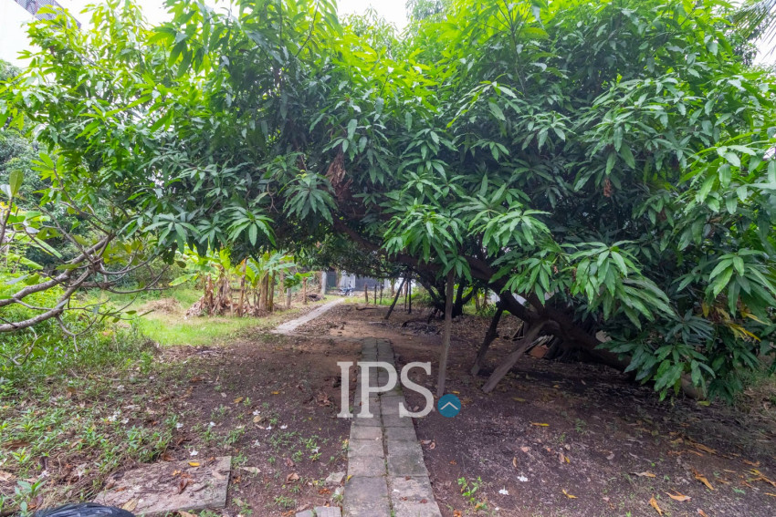 3,500 Sqm Commercial Land For Rent - Sala Kamreuk, Siem Reap