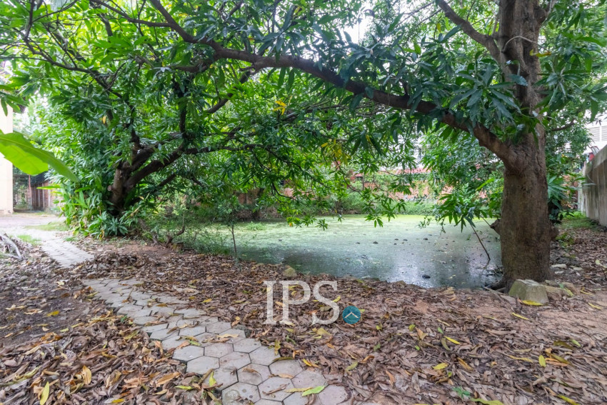 3,500 Sqm Commercial Land For Rent - Sala Kamreuk, Siem Reap