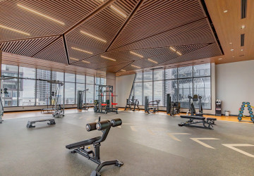 209 Sqm Studio Serviced Apartment For Rent - BKK1, Phnom Penh thumbnail