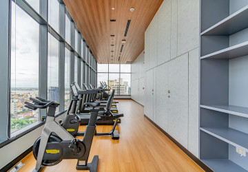 209 Sqm Studio Serviced Apartment For Rent - BKK1, Phnom Penh thumbnail