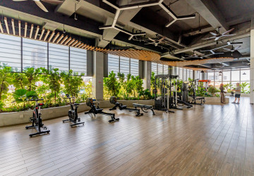 3 Bedroom Penthouse For Rent - Morgan Enmaison, Chroy Changvar, Phnom Penh thumbnail