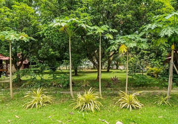 Traditional Khmer Bungalow Resort Business For Sale - Kep Province thumbnail