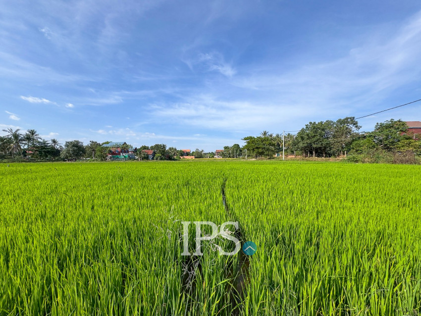 1,579 Sqm Land For Sale - Sangat Siem Reap, Siem Reap