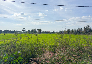1,579 Sqm Land For Sale - Sangat Siem Reap, Siem Reap thumbnail