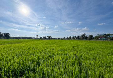 1,579 Sqm Land For Sale - Sangat Siem Reap, Siem Reap thumbnail