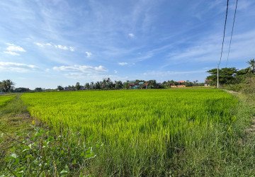 1,579 Sqm Land For Sale - Sangat Siem Reap, Siem Reap thumbnail