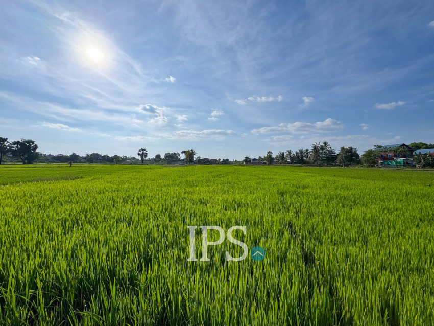 1,579 Sqm Land For Sale - Sangat Siem Reap, Siem Reap