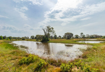 18,000 Sqm Land For Sale - Run Ta Aek, Bantay Srei, Siem Reap thumbnail